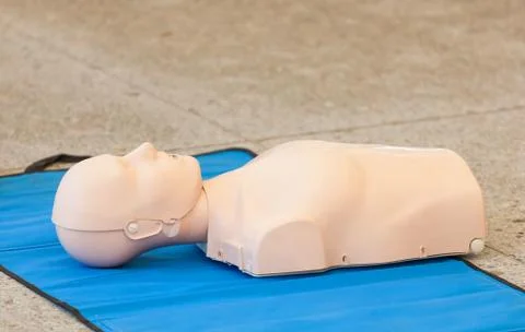 Model of dummy used for CPR training Stock Photos