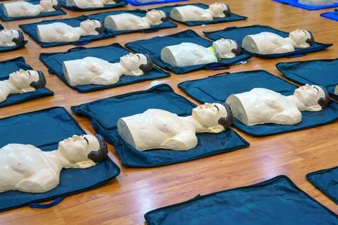 Model of dummy used for CPR training medical in class at hospital Stock Photos