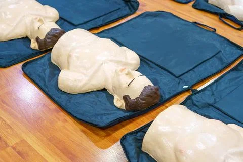 Model of dummy used for CPR training medical in class at hospital 写真素材
