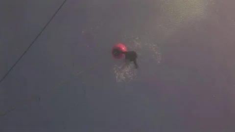 Model free diver down underwater in Red Sea. Stock Footage