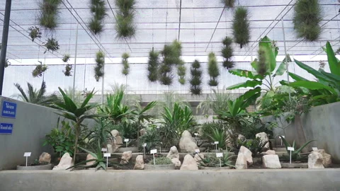 Model Garden 50fps Video stock 242829771