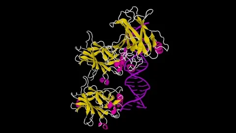 Model of HIV protease Vidéo 76219490