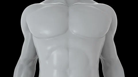 Model of the human body from head to toe, computer generated. 3d rendering 스톡 일러스트