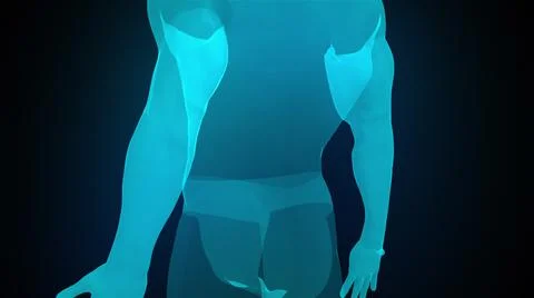 Model of the human body from head to toe, computer generated. 3d rendering 스톡 일러스트