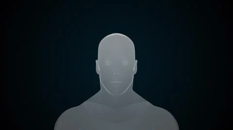 Model of the human body from head to toe, computer generated. 3d rendering Stock Illustration