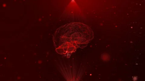 Model of the human brain. Rotates 360 degrees. 3D rendering. Animated red Video stock 122218600