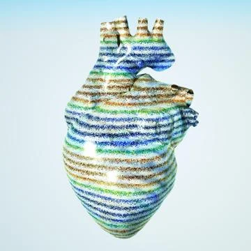 Model of human heart Illustrazione stock