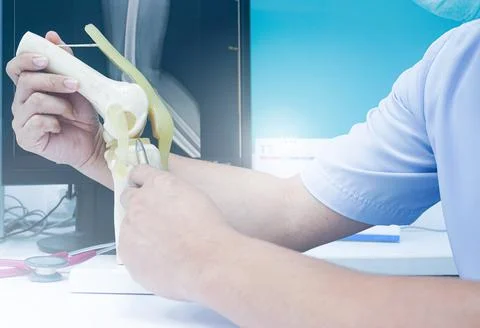 Model of Human knee and leg with stethoscope on white table for medical educa Stock Photos