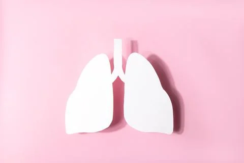 Model of a human lungs shaped white paper on a pink background Foto stock