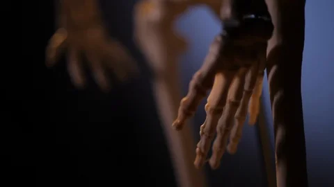 Model of human skeleton Stock Footage 98711726