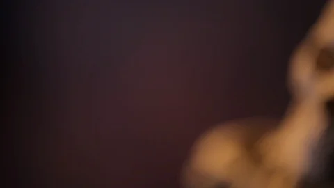 Model of human skeleton Stock Footage 98711786