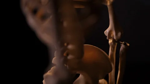 Model of human skeleton Stock Footage 98712850