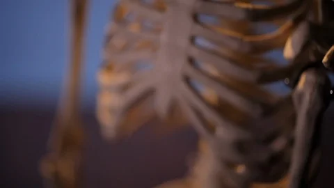 Model of human skeleton Stock Footage 98714229