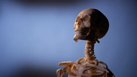 Model of human skeleton Stock Footage 98714335