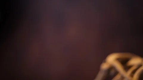 Model of human skeleton Stock Footage 98715707