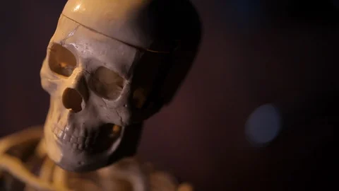 Model of human skeleton Stock Footage 98720035