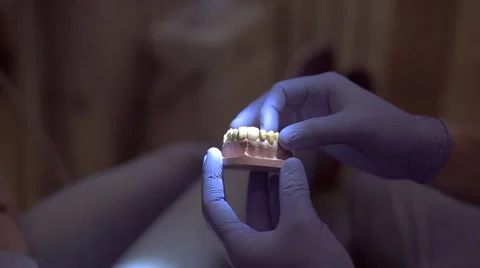 Model of the jaw in the hands of the dentist Video stock 57666227
