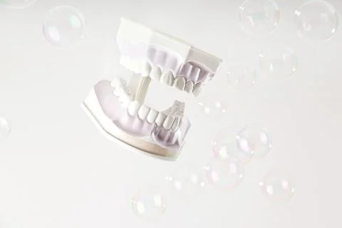 Model of jaws with white teeth among soap bubbles on light background. Stock Photos