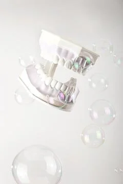 Model of jaws with white teeth among soap bubbles on light background. Stock Photos