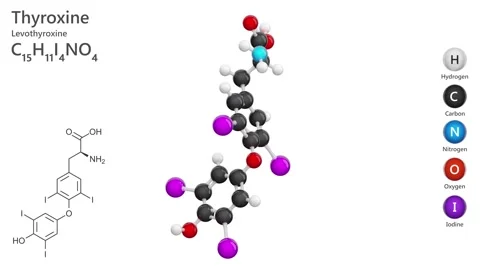 Model of L-Thyroxine (C15H11I4NO4) or levothyroxine. White back. 3D render Stock Footage 287598019