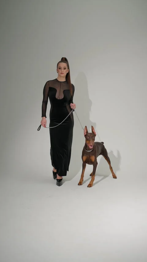 Model leads Doberman on chain leash. Stylish woman concentrates on walk with Stock Footage 271676599