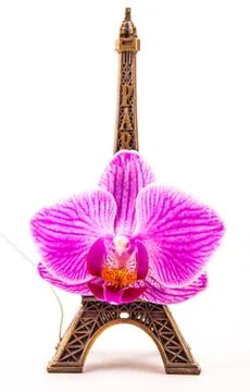 Model of little Eiffel Tower with a pink flower Stock Photos
