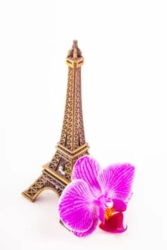 Model of little Eiffel Tower with a pink flower Stock Photos