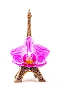 Model of little Eiffel Tower with a pink flower Stock Photos