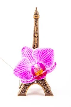 Model of little Eiffel Tower with a pink flower Stock Photos