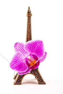 Model of little Eiffel Tower with a pink flower Stock Photos