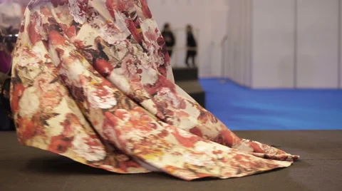 Model in a long dress Stock Footage 64018253