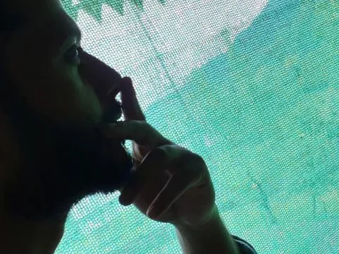 Model looking actor outside through green net. Stock Photos