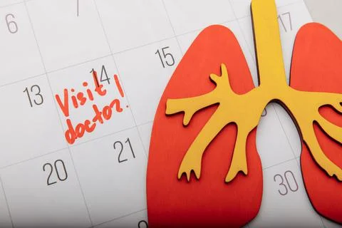 Model of lung on calendar with mark close-up. Healthcare concept Stock Photos