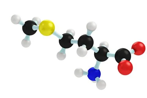 Model of methionine Stock Illustration