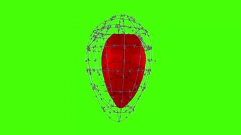 Model model of a breathing heart. 3D rendering. Stock Footage 167095673