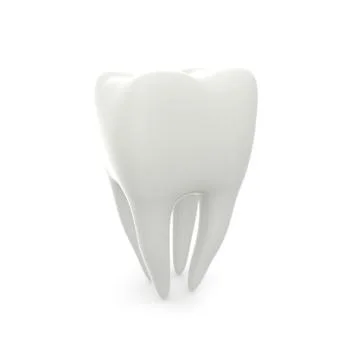 Model of a molar tooth on a white isolated background Stock Illustration