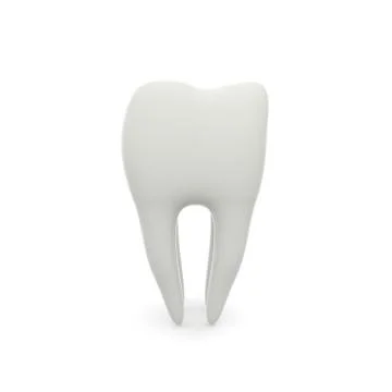 Model of a molar tooth on a white isolated background Stock Illustration