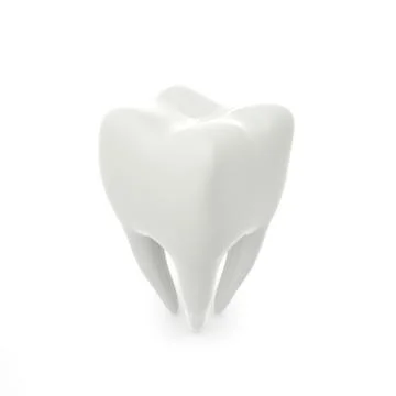 Model of a molar tooth on a white isolated background Stock Illustration
