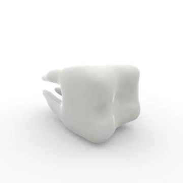 Model of a molar tooth on a white isolated background Stock Illustration