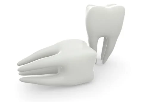 Model of a molar tooth on a white isolated background Stock Illustration
