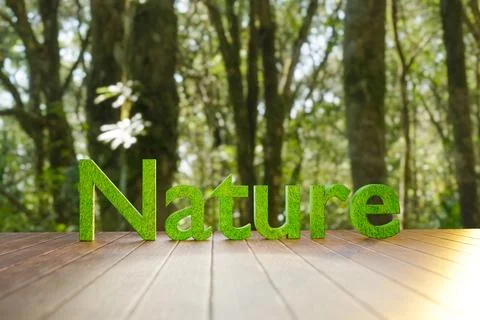 Model 'Nature' green grass texture against the backdrop of a beautiful foret Illustrazione stock