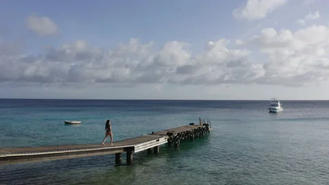 Model in paradise Vídeos de archivo 201122755