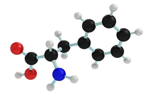 Model of phenylalanine Stock Illustration