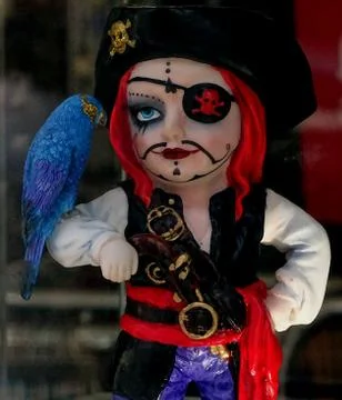 Model Pirate With Parrot Stockfoto's