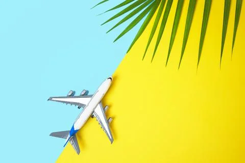 Model plane airplane or plane and tropical green palm leaves on yellow and bl 스톡 사진