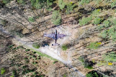 Model plane in the woods Stock Photos