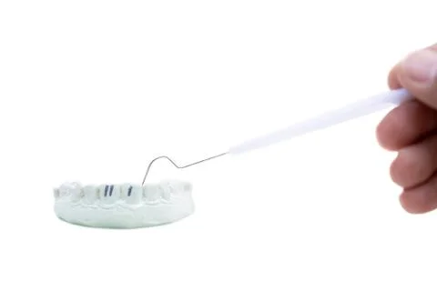 Model of plaster teeth with dental tools isolated in with background. Stock Photos