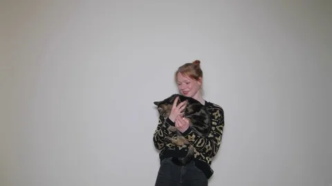 Model playing with cat during photo session Stock Footage 73539209