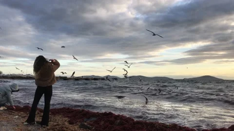 Model posing on the beach Stock Footage 145898610