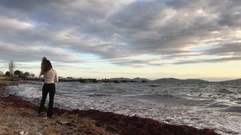 Model posing on the beach Video stock 145900442